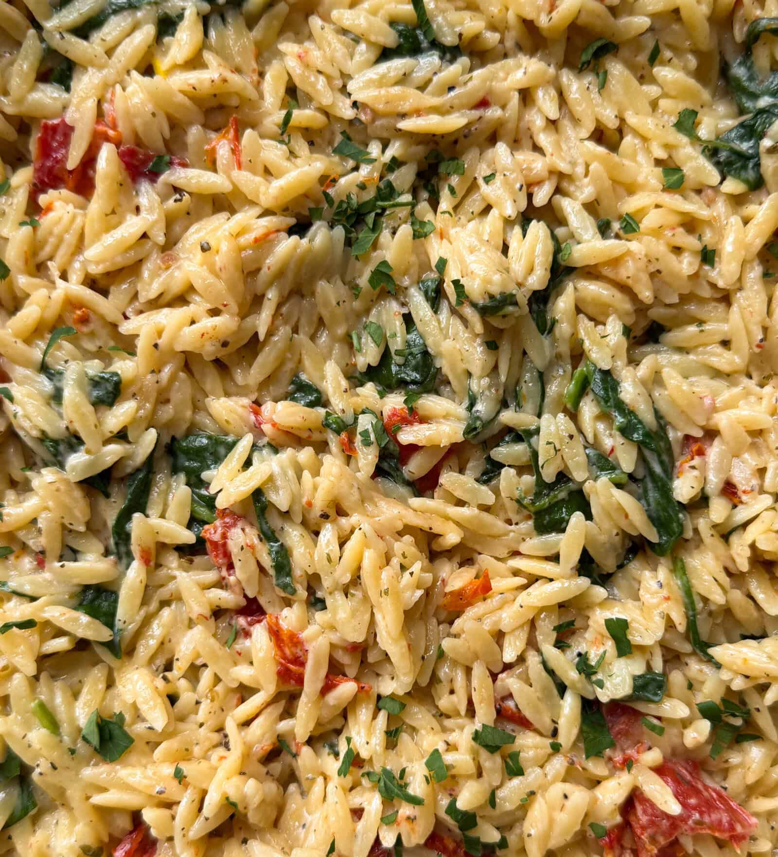 Close-up of creamy orzo pasta mixed with spinach, sun-dried tomatoes, and herbs—a colorful and appetizing Boursin Spinach and Sun-dried Tomato Orzo Bake perfect for fans of delicious orzo recipes.