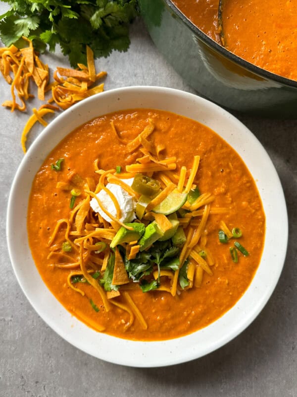 A bowl of creamy tomato soup topped with shredded cheese, sour cream, avocado, tortilla strips, and fresh herbs, sits on a white plate next to a pot of soup and scattered cheese and cilantro on a grey surface.