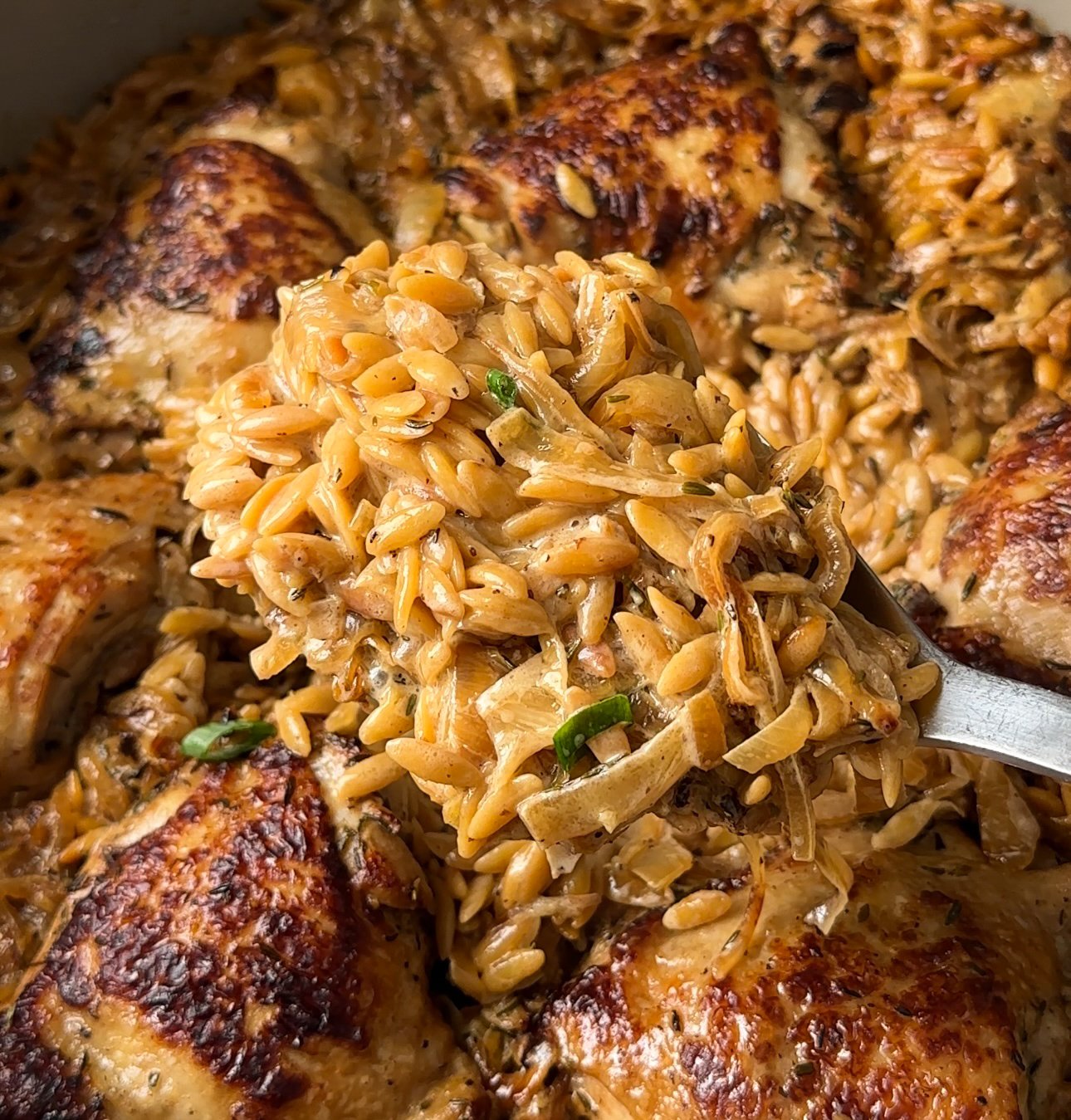 Close-up of a cooked dish showcasing seasoned chicken pieces and creamy orzo pasta. Reminiscent of a French Onion Chicken recipe, the golden brown chicken and herb-topped orzo create a rich, savory blend being scooped with a spoon.