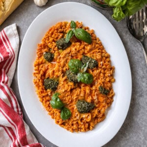 A white oval plate of pasta with red sauce, topped with dollops of green pesto and fresh basil leaves, sits on a gray surface near a red-striped towel, garlic, bread, and a basil plant.