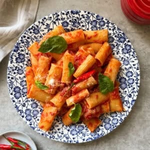 A plate of Rigatoni Arrabbiata with tomato sauce, garnished with fresh basil leaves, is served on a blue floral-patterned dish. A red container, a cloth, and a small plate of red chilies are nearby—classic elements of what is Arrabbiata sauce.
