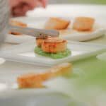 A hand uses a knife to place a seared scallop on a white plate with a green puree, with more scallops on plates in the background.