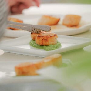 A hand uses a knife to place a seared scallop on a white plate with a green puree, with more scallops on plates in the background.