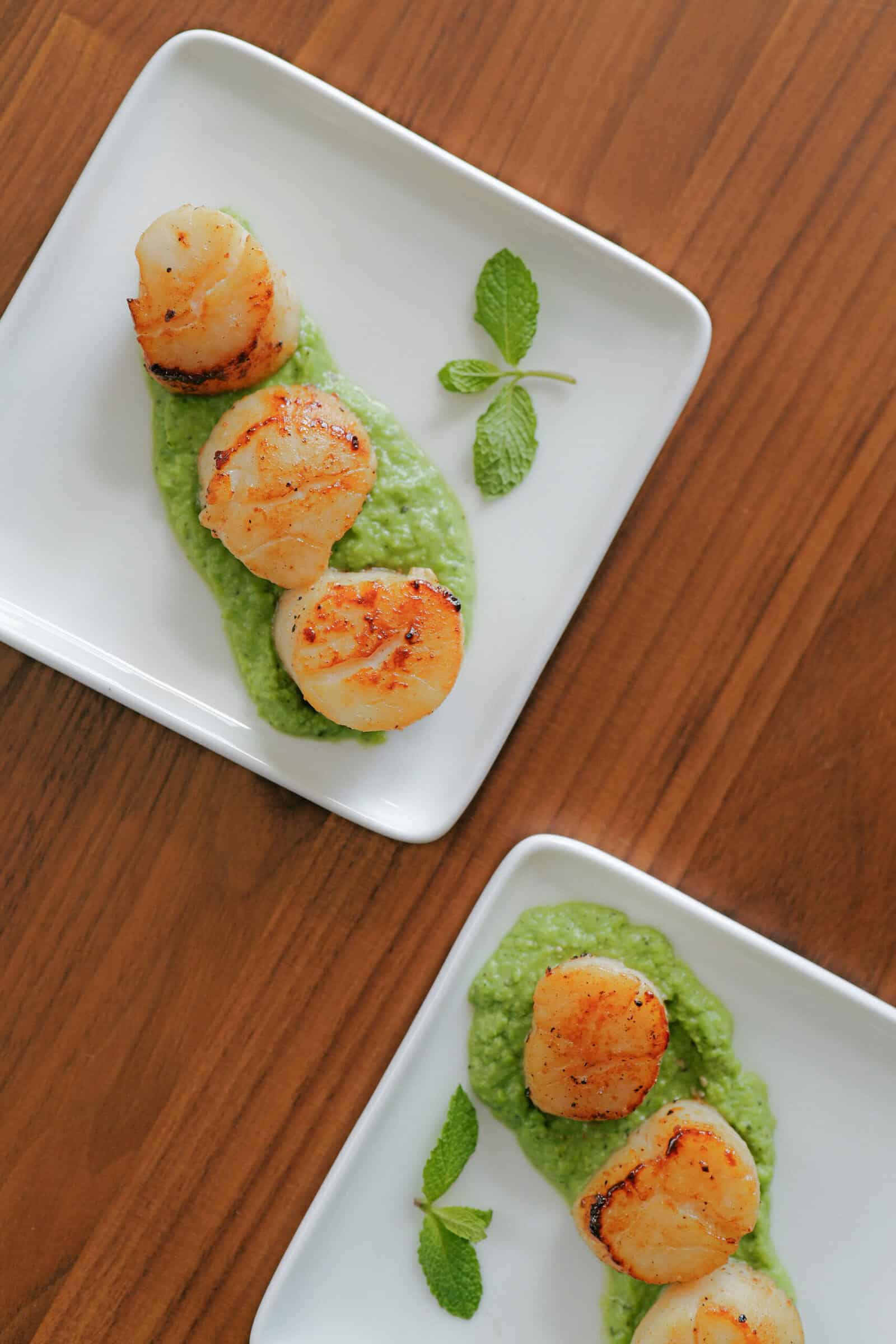 Two white square plates each with three seared scallops on a bed of green pea puree, garnished with mint leaves, placed on a wooden table.
