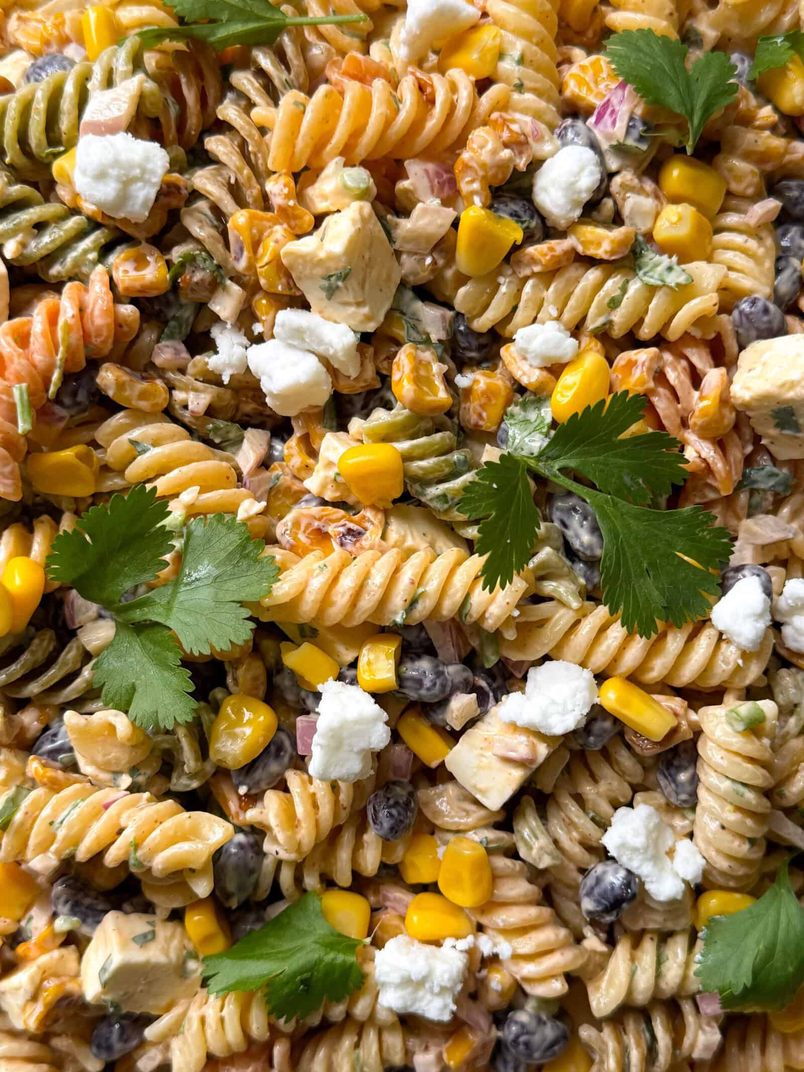 A close-up of Mexican Street Corn Pasta Salad, featuring colorful rotini mixed with corn, black beans, diced cheese, red onion, and topped with crumbled cheese and fresh cilantro leaves—a tasty twist on classic Pasta Salad Recipes.