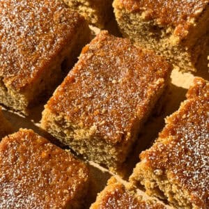 Nine slices of moist, golden-brown Gingerbread Cake topped with powdered sugar are arranged closely together on a wooden surface, highlighted by warm sunlight—a tempting glimpse of a classic gingerbread cake recipe brought to life.