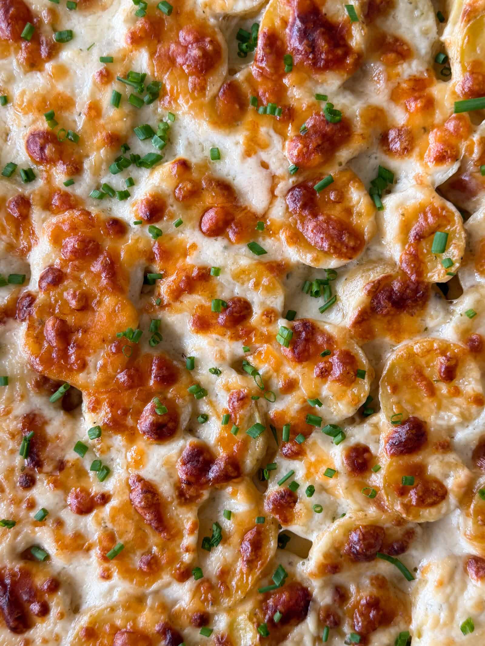 Cheesy scalloped potatoes topped with melted cheese and chopped chives.